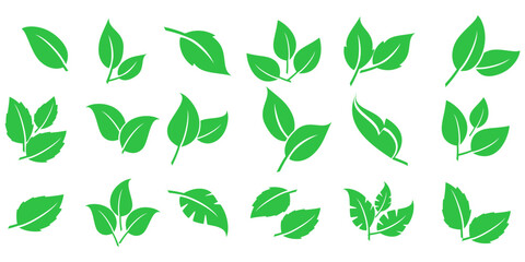 Leaf vector symbol, leaf illustration or leaf emoji in flat style. Spring leaf design, ecological nature theme.	