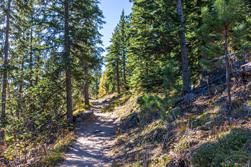 Obraz premium Beautiful autumn landscape seen from Cathedral Spires Trail at Custer State Park in South Dakota.
