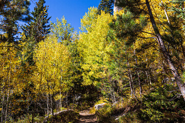 Fototapeta premium Beautiful autumn landscape seen from Cathedral Spires Trail at Custer State Park in South Dakota.