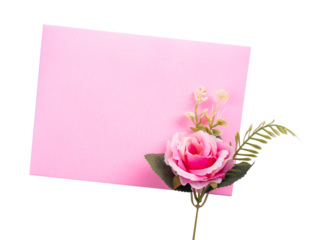 a blank pink sheet of paper and a single flower isolated on a white background