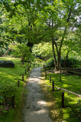 Obraz premium 初夏の旧古河庭園の日本庭園