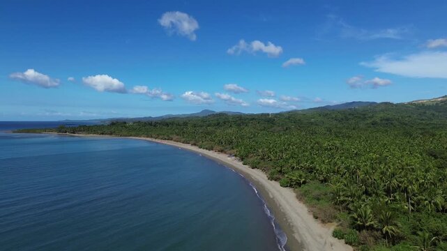 Drone aerial footage showing an untouched beach on Tablas Island in Odiongan, Philippines, with dense palm forest, lush greenery, and gentle hills in the background under clear sunny skies.