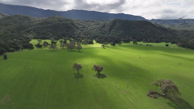 Santa Barbara County, drone footage by Hwy 154, beautiful green pasture.