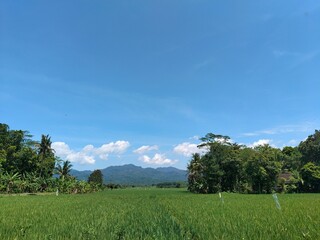 Fototapeta premium The beauty of the countryside, mountains and rice fields is a nice landscape.