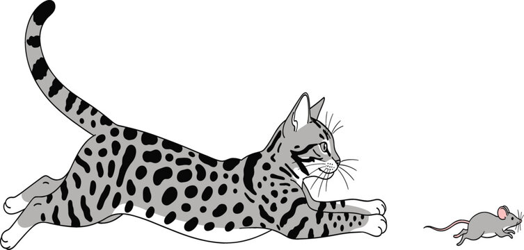 Playful spotted bengal cat jumping and pouncing to catch a small grey mouse on white background vector illustration.