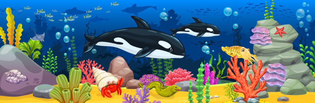 Cartoon killer whale animals, seaweeds and coral reefs ocean underwater landscape with sea orca animals. Vector cartoon seafloor with killer whale predators, crab, starfish, moray eel and cuttlefish