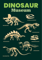 Dinosaur skeleton fossil or dino bones museum board. Triceratops, stegosaurus and velociraptor, tyrannosaurus, spinosaurus and therizinosaurus skeletons, skulls of dudreuillosaurus and therizinosaurus © Vector Tradition