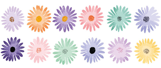 다채로운 수채화 데이지 꽃들의 투명한 배경 일러스트