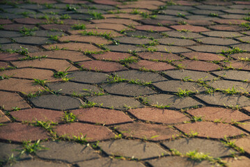 Old red paving stone floor texture with green grass in sunset light