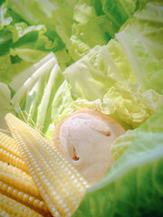 Sliced straw mushroom baby corn and cabbage for cooking