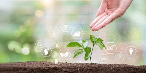 Environmental sustainability requires mindful action, clean energy, nature preservation. symbolizes ecological responsibility, carbon reduction, and a greener future through global climate awareness.