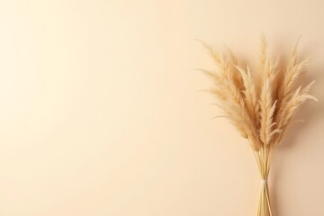 A bunch of dried wheat on a beige background with soft lighting and empty space on the left side