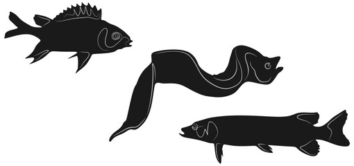 vector design of silhouette of two sea fish and eel