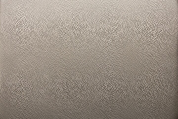 Detailed Leather Surface Background