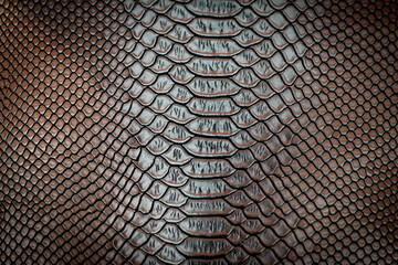 Brown snake skin texture pattern can see the surface details.