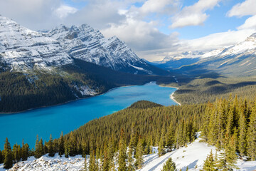 Peyto Lake - Banff 