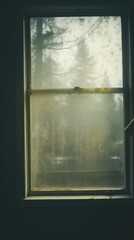 Fototapeta premium Window nature wall architecture.