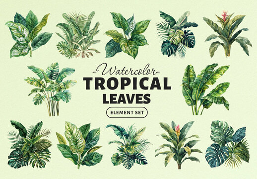 Vibrant Watercolor Tropical Leaves Element Set