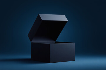 The black gift box standing out against the background 