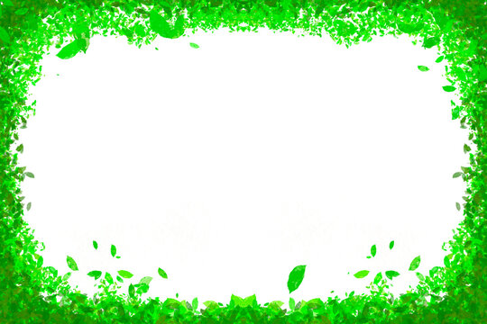 green grass narure hole frame ribon