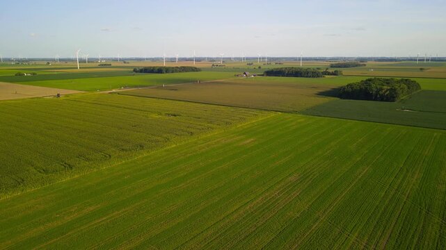 Aerial view of open Soy bean fields and barns in rural Michigan during summer time.