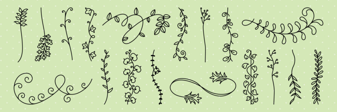 A collection of hand-drawn floral vines on a light green background. These floral vines feature various curly and leafy designs, perfect for decorative purposes. Hand drawn ornament vector set.