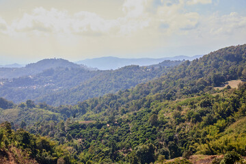 Fototapeta premium Tropical mountain landscape with tropical trees
