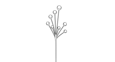 Simple minimalist plant stem with round seeds or pods shown as a thin black line drawing for modern botanical home decor.
