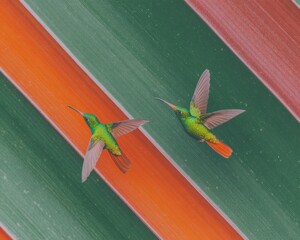 Obraz premium Premium Wild Strength Hummingbirds Flying High-Quality Nature for Dynamic Marketing and Inspiring Digital Content