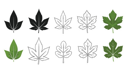 Obraz premium Comprehensive variety of leaf illustrations featuring different species in solid black, green, and detailed outline styles on white background.