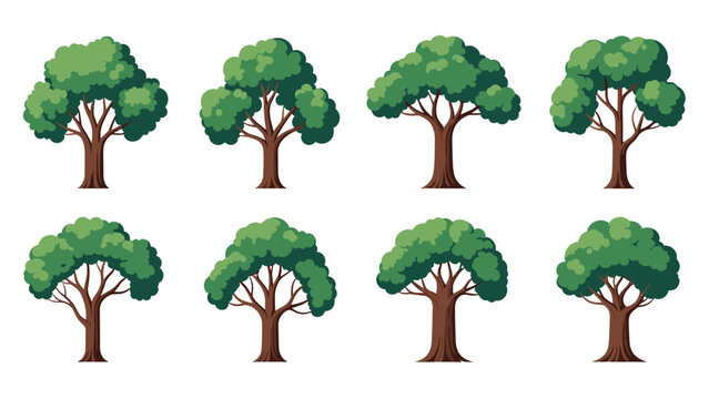 Collection of eight diverse green leafy trees with sturdy brown trunks in a clean flat design style for forest illustrations.