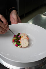 A chef meticulously arranging a gourmet dish, showcasing culinary expertise and artistry. The plate features a beautifully crafted composition of textures and colors