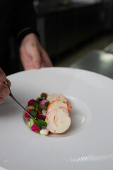 Chef meticulously arranging a gourmet dish on a pristine white plate, a culinary masterpiece