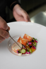 Close-up shot of a chef's hand carefully arranging a gourmet seafood dish on a white plate