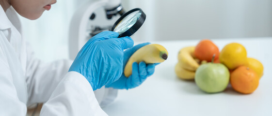 Scientist use magnifying glass to check physical occur from chemical on fruit and vegetable residues in laboratory. inspect the concentration of chemical residues, standard, find prohibited substances