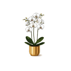 Minimalist luxury illustration of a white Phalaenopsis orchid in a sleek gold pot, clean vector lines, soft shadows, sophisticated home decor style, isolated.....ai