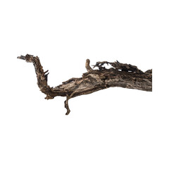 Fototapeta premium Driftwood branch with unique natural texture on black background