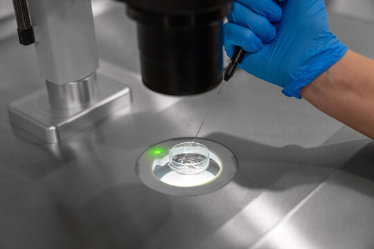 Professional embryologist using microscope for ICSI IVF procedure, microinjection of sperm into female egg cell in fertility clinic laboratory for assisted reproduction, human artificial insemination.