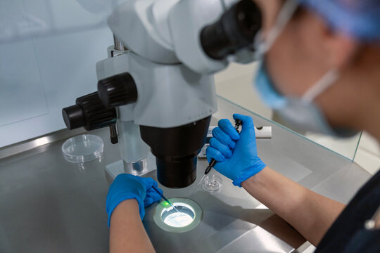 Professional embryologist using microscope for ICSI IVF procedure, microinjection of sperm into female egg cell in fertility clinic laboratory for assisted reproduction, human artificial insemination.