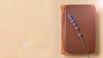 Antique brown leather book cover decorated with a single sprig of purple lavender flowers on a warm beige background with artistic lens flare and negative space for literary or wellness concept.
