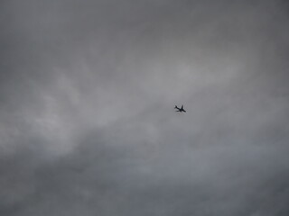 Obraz premium flying in the sky