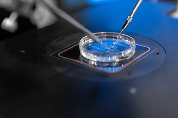 Advanced ICSI procedure in IVF lab using micro manipulator and needle for human embryo...