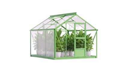 Greenhouse with Potted Plants