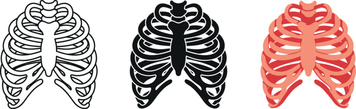 Human rib cage illustration set: outline, silhouette, and colored versions for medical design