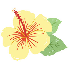 Yellow Hibiscus Flower Illustration