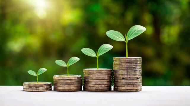 Plants grow on a pile of coins; the concept of saving money, finance, and investment.