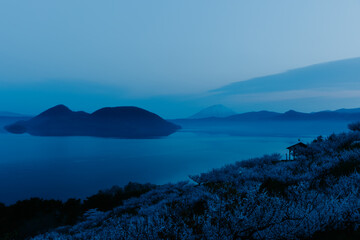 北海道壮瞥町2025春-早朝の壮瞥公園-11