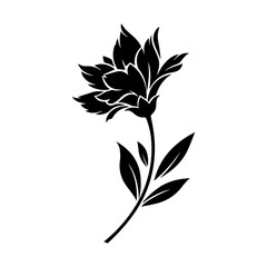 Fototapeta premium A black and white illustration of a flower with leaves on a stem