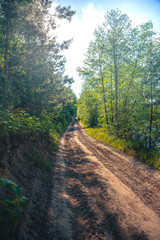 Fototapeta premium Summer landscape