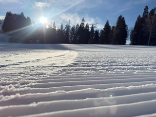 スキー場圧雪車キャタピュラピステンの跡 